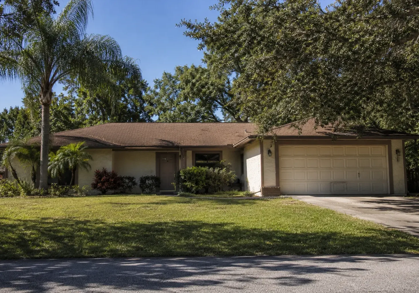 New Port Richey Pasco County Florida Sinkhole Alley 2026 F.S. 627.706 karst geology median home